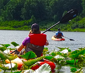 Alaska fly in cabin kayaking retreat.